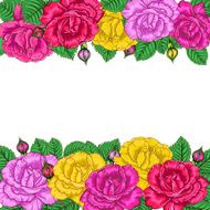 floral background with roses N8