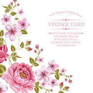 Luxurious color peony background