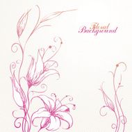 Romantic lily