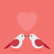 Love Birds N55