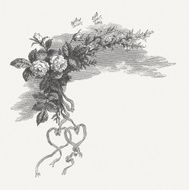 Roses N50