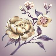 vintage peony and sakura flower illustration
