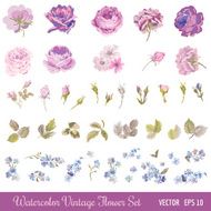 Vintage Flower Set - Watercolor Style