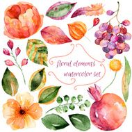 Set of different flowers and pomegranate for your own design