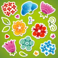 Vector set of bright colorful flowers