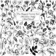 vintage vector floral set N8