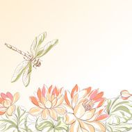 Lotus flower and dragonfly