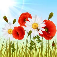 Poppy grass seamless wallpaper N2