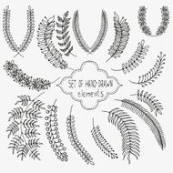 Hand drawn vector design floral elements N3