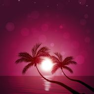 Pacific Dream Land