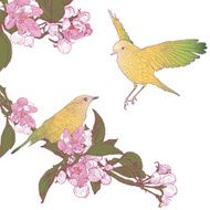 Twigs of Blooming Apple Tree and Two Birds