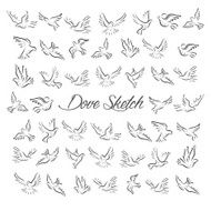 Dove and Pigeon Set in Sketch Style N2