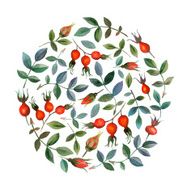 BACKGROUND N377