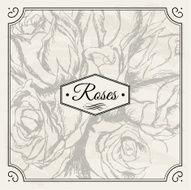 Vintage Roses Background N3