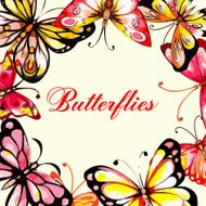 Flying butterfly card N4