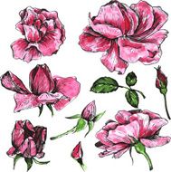 watercolor vector floral set N14