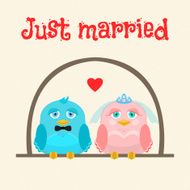Just married Cute birds