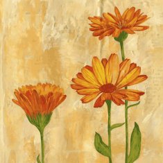 painting floral card