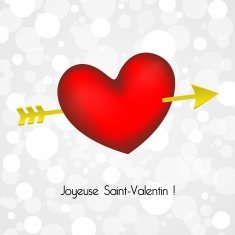 Happy Valentines Day N324
