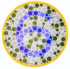 Color blind test -6