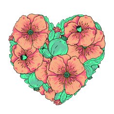 Vector pink poppy flowers heart pastel colors