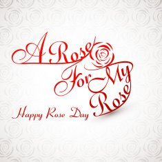 Beautiful A rose for my happy day
