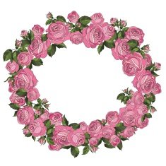 romantic roses frame