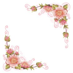Elegant curves flower corners isolated N4