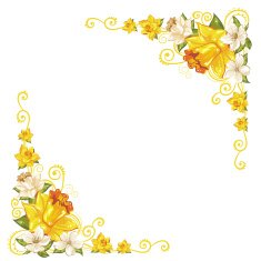 Elegant curves flower corners isolated N5