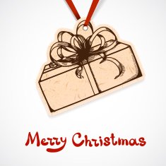 Present box paper label on ribbon N5