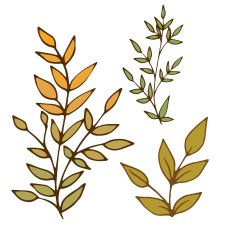 Set of 3 branches N2