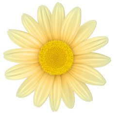 Flower N72