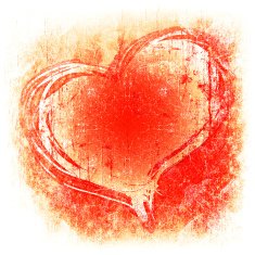 Heart on Grange N20