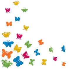 Colorful butterfly background N6