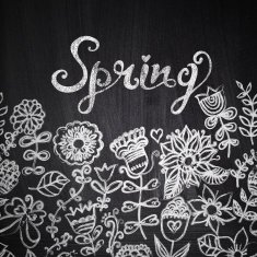 Chalk flowers on chalkboard blackboard N2