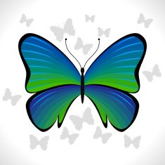 Colorful Butterfly N6