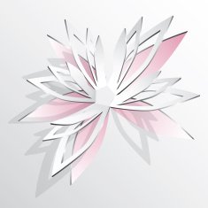 Flower cut out of paper N2