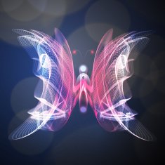 butterfly N80