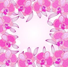 orchid frame
