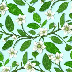 White Flowers on Twig Seamless Pattern