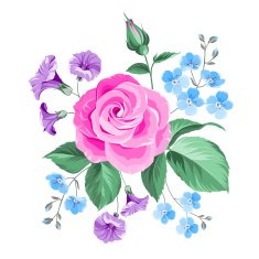 Hand drawn rose N3