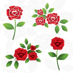Roses Illustrate Heart Shape inside