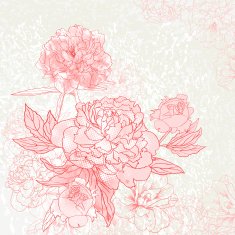 Peonies N11