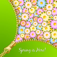 Spring zipper with flowers N2
