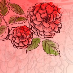 Sketch rose branch N3