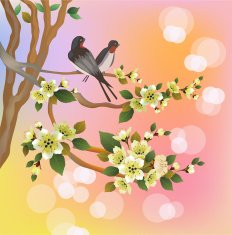sakura spring postcard N6