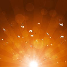 Autumn Birds Migration