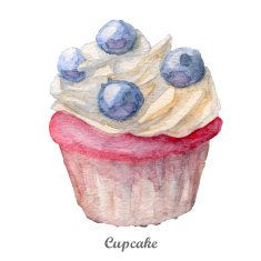 watercolor cupcake hand painted illustration N5