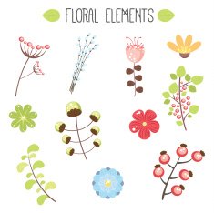 Floral elements N27