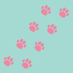 Paw print track diagonal Blue and pink
